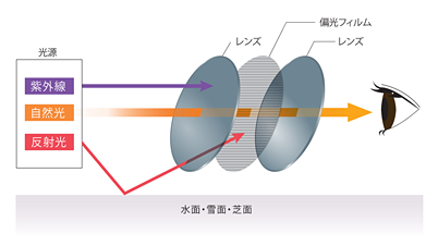 レンズの構造