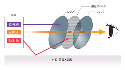 偏光レンズのスリット